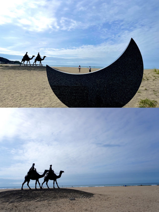 【千葉】 海岸にラクダ？ 絶景スポット
