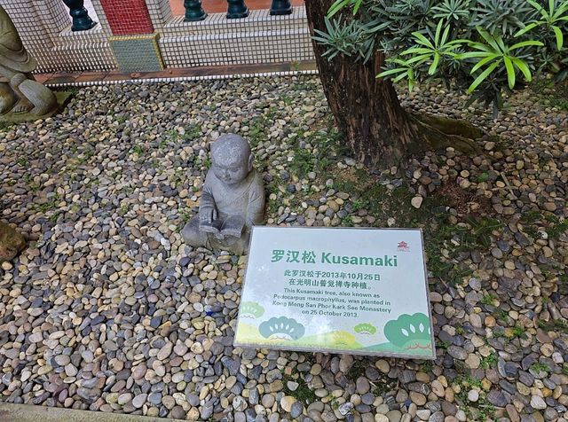 A hidden Japanese garden between the temples