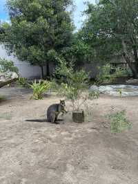 Amazing time in the zoo