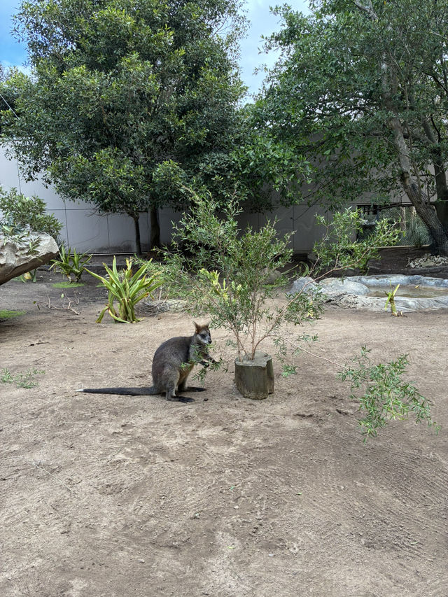 Amazing time in the zoo