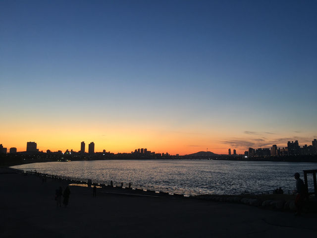 한강공원의 여름 풍경들