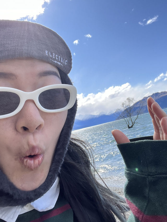 全世界最寂寞的樹，美得讓人不說話🌳📸｜紐西蘭瓦納卡湖 That Wanaka Tree