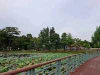 Cyberjaya Lake Gardens