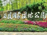 Xixi Wetland- Hailed As the "Kidney of Hangzhou"