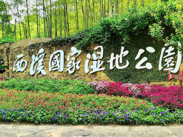 Xixi Wetland- Hailed As the "Kidney of Hangzhou"