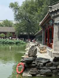 Hidden Majesty in the Heart of Beijing: Prince Gong’s Mansion 👑🌿