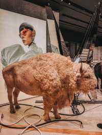 Futuristic Fashion Meets Art – My Visual Feast at Gentle Monster TRX