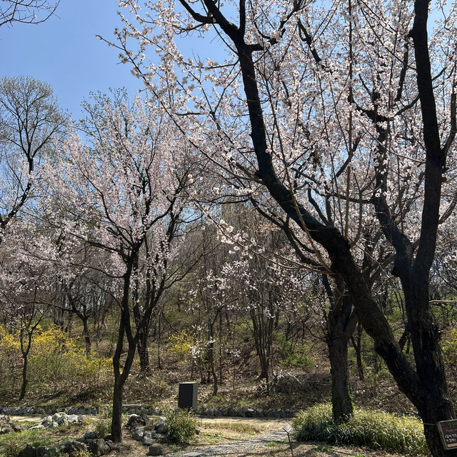 서울 둘레길의 봄과 여름 풍경
