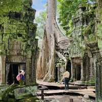 Learning about its role during the Khmer Empire👫👍🥰