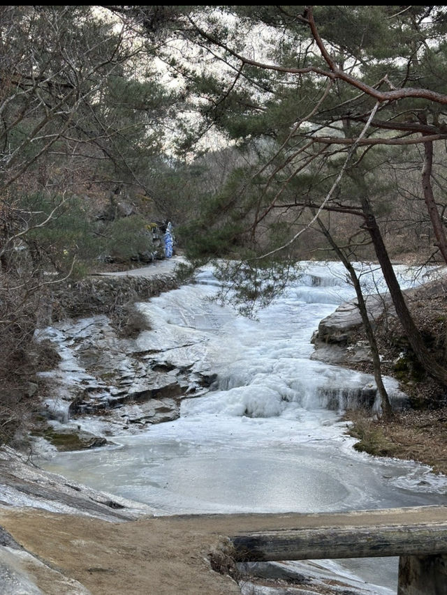 🌊 바다와 숲의 힐링 여행, 울진 2박 3일 코스