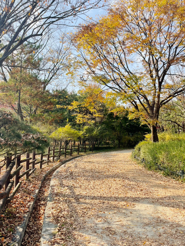 자연과 문화가 어우러진 매력적인 여행지, 대전 과 옥천 여행
