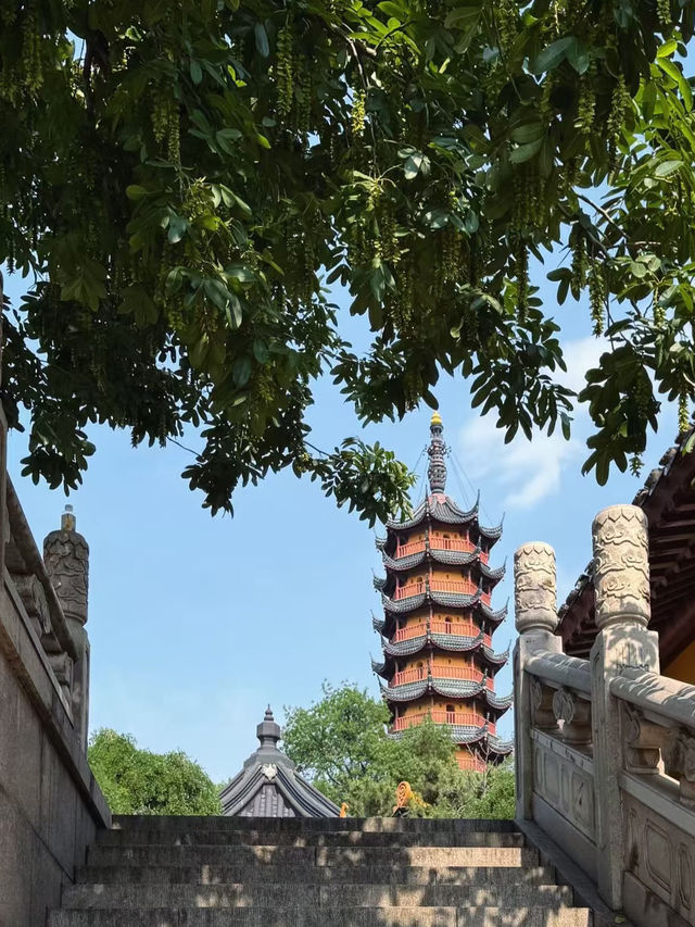 2-Day Zhenjiang Getaway | Perfect Slow-Paced Weekend from Shanghai