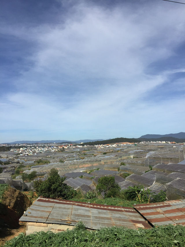 An atmospheric wonderland - Dalat