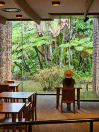 🍹南国カフェで一息、植物と海を感じるトロピカル時間。