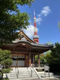 Tokyo Tower & Temple: A fairytale in Minato 🗼⛩️🇯🇵