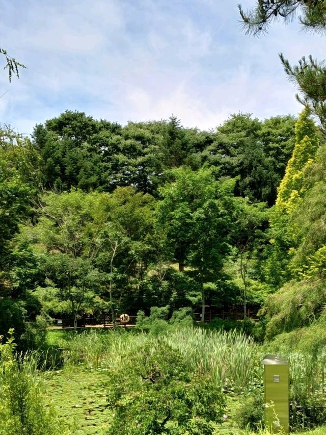 숲길 위의 산책, 진주 수목원