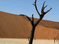 Sossusvlei – “Mars Meets Namibia”