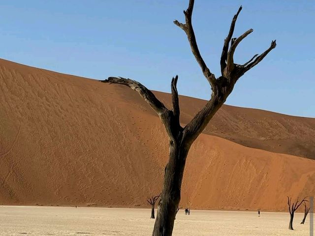Sossusvlei – “Mars Meets Namibia”