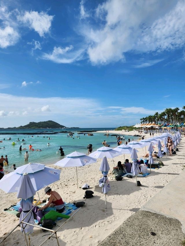 💛제주도에서 가장 애정하는 해변, "금능해수욕장"💛