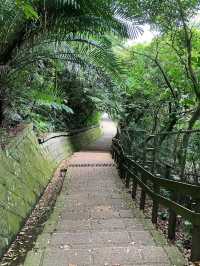 Refreshing Hike Along Hushan Nature Trail