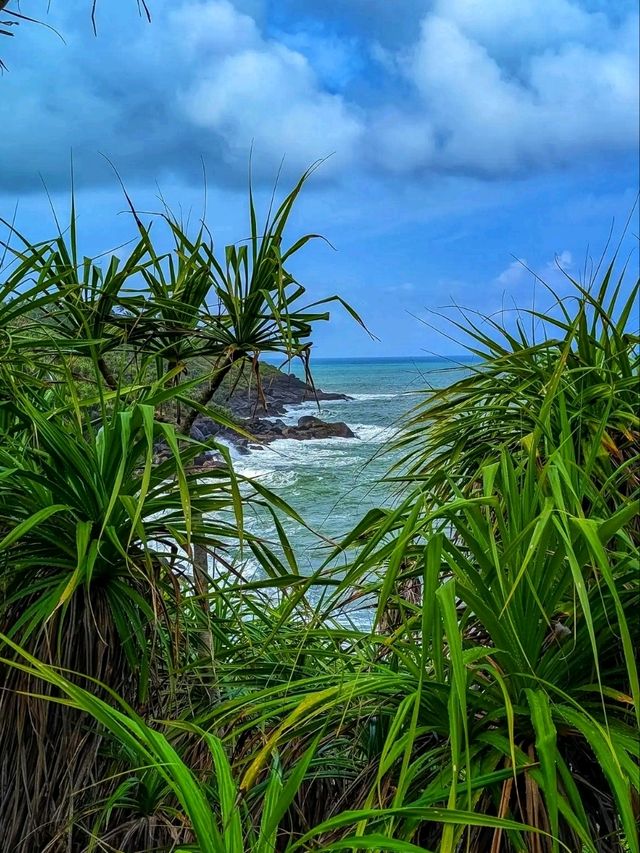 🏝️ Jungle Beach, Unawatuna – A Hidden Tropical Escape