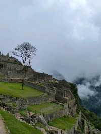 Mystical Heights and Ancient Wonders of Machu Picchu