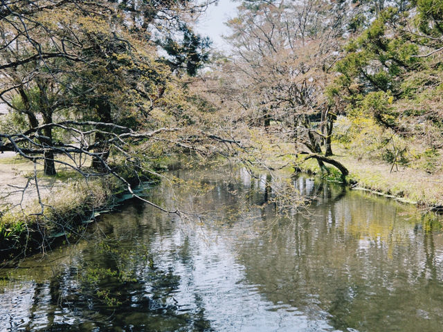 พาเที่ยวทะเลสาบในYufuin