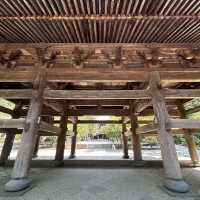 Passing Through History: The Sanmon Gate of Engaku-ji, Kamakura ⛩️