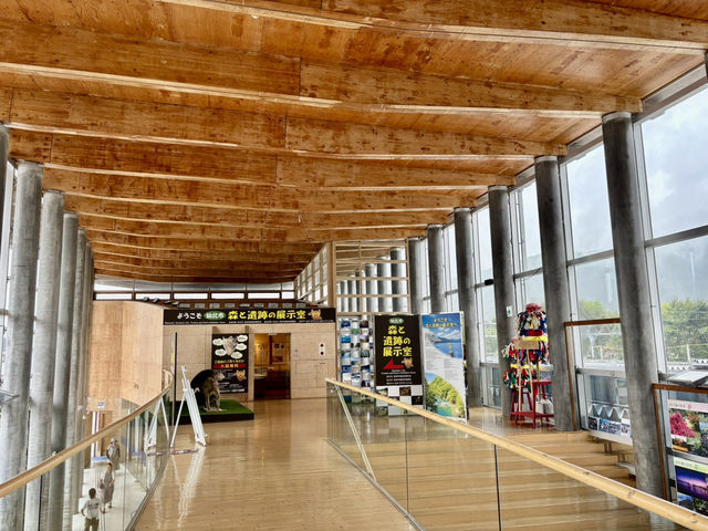 田沢湖駅 森と遺跡の展示室🚉🌿 站內發現考古驚喜！