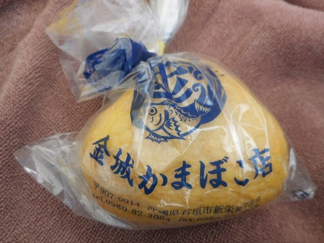 小浜島と西表島で海満喫旅