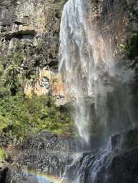 Purling Brook Falls – A Cascading Wonder of Springbrook National Park