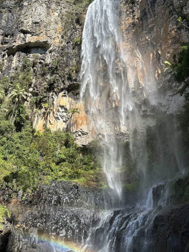 Purling Brook Falls – A Cascading Wonder of Springbrook National Park