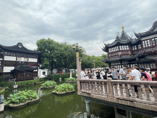 上海到底有什麼值得一來再來的？