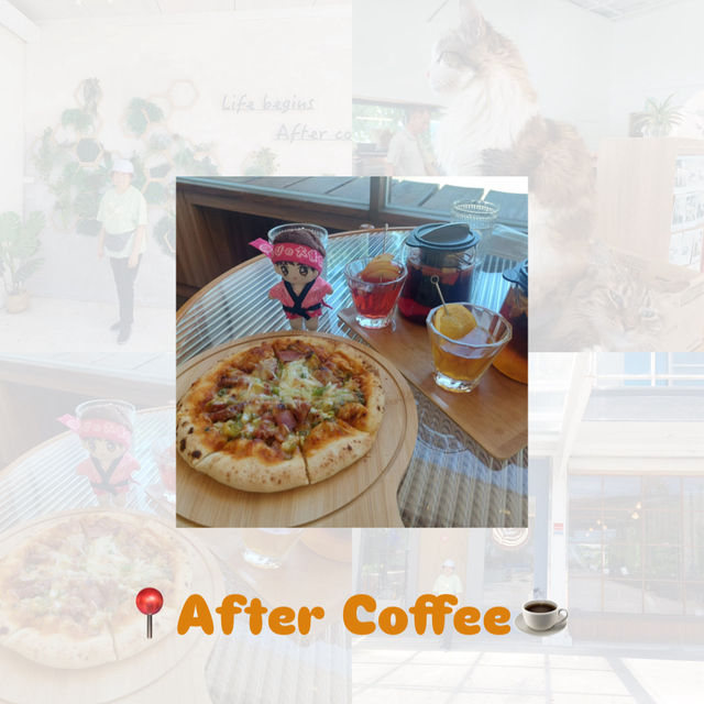 【台灣宜蘭】After Coffee🐱巨型店貓坐鎮 【台灣宜蘭】After Coffee🐱巨型店貓坐鎮