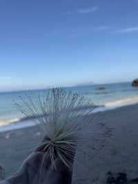 ทะเล+เพื่อน=ความสุข100% 🌊🩵✨