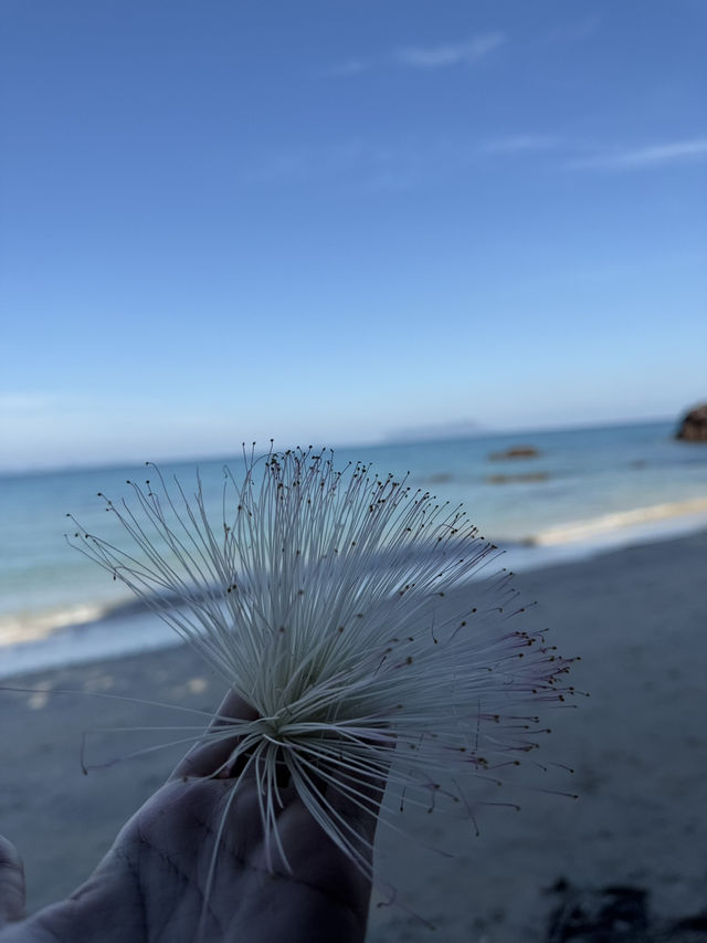 ทะเล+เพื่อน=ความสุข100% 🌊🩵✨ ทะเล+เพื่อน=ความสุข100% 🌊🩵✨