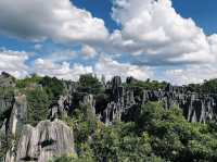 Essential Tips for Your Visit to the Stone Forest