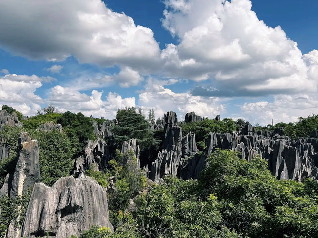 Essential Tips for Your Visit to the Stone Forest Essential Tips for Your Visit to the Stone Forest