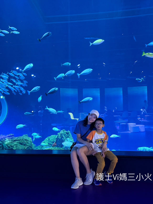 《沖繩親子景點| DMM水族館》