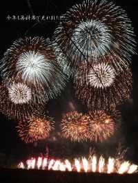 打ち上げ数日本一!?3万発の花火が見られる利根川大花火大会2025