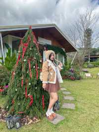 22 AQUARIUS Glamping Cafe
