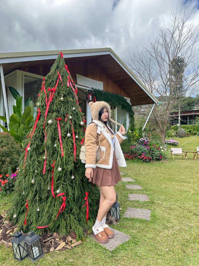 22 AQUARIUS Glamping Cafe