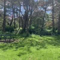 Forest Farm Country Park – Cardiff’s Quiet Wilderness Along the Taff