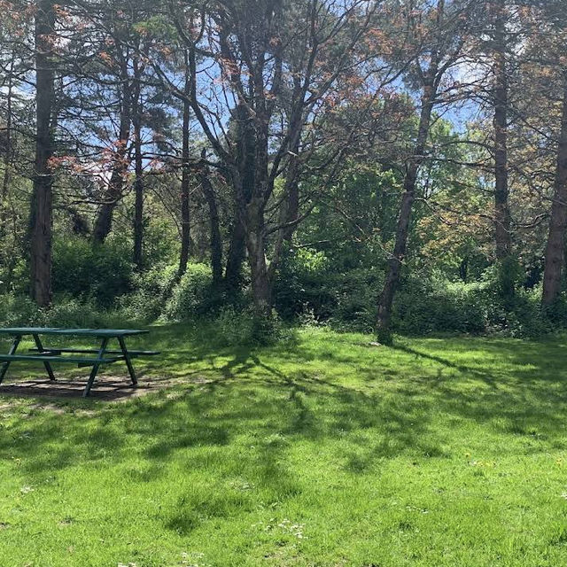 Forest Farm Country Park – Cardiff’s Quiet Wilderness Along the Taff Forest Farm Country Park – Cardiff’s Quiet Wilderness Along the Taff