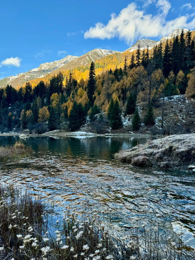 Golden Autumn Views🍂