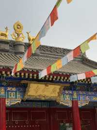 A Touch of Tibet in Xi’an – Guangren Lama Temple