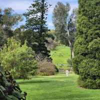 Royal Botanic Gardens Victoria - Melbourne Gardens