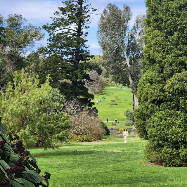 Royal Botanic Gardens Victoria - Melbourne Gardens