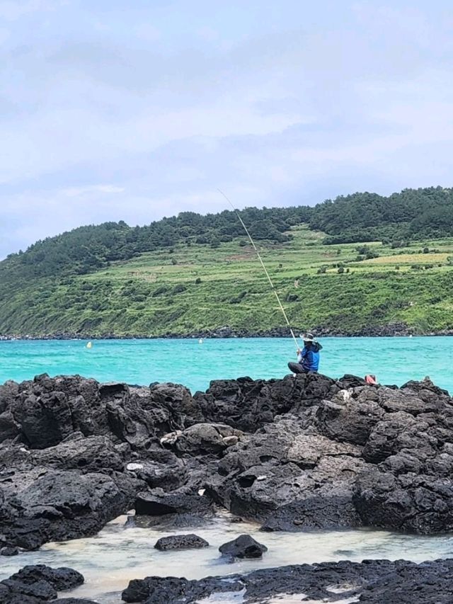 Sun-Kissed Adventures on Jeju Island! ☀️✨