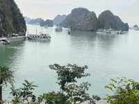 Sailing Through Paradise: The Timeless Beauty of Ha Long Bay